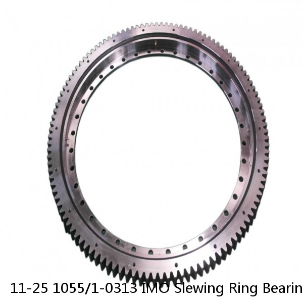 11-25 1055/1-0313 IMO Slewing Ring Bearings