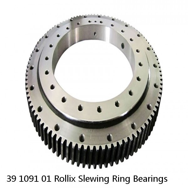 39 1091 01 Rollix Slewing Ring Bearings
