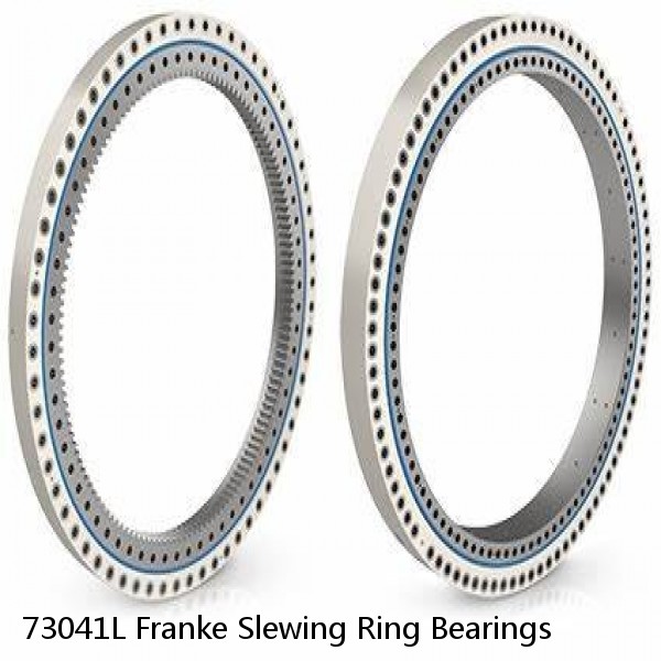 73041L Franke Slewing Ring Bearings
