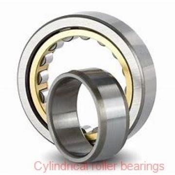 1.772 Inch | 45 Millimeter x 4.724 Inch | 120 Millimeter x 1.142 Inch | 29 Millimeter  CONSOLIDATED BEARING NJ-409 M  Cylindrical Roller Bearings