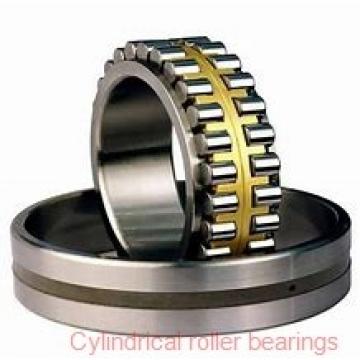 2.559 Inch | 65 Millimeter x 5.512 Inch | 140 Millimeter x 1.89 Inch | 48 Millimeter  CONSOLIDATED BEARING NJ-2313E M C/4  Cylindrical Roller Bearings