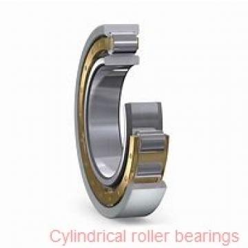 2.559 Inch | 65 Millimeter x 5.512 Inch | 140 Millimeter x 1.89 Inch | 48 Millimeter  CONSOLIDATED BEARING NJ-2313E M  Cylindrical Roller Bearings
