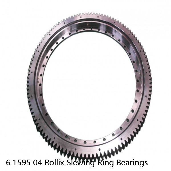 6 1595 04 Rollix Slewing Ring Bearings