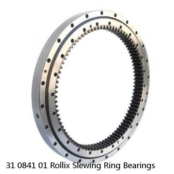 31 0841 01 Rollix Slewing Ring Bearings #1 small image