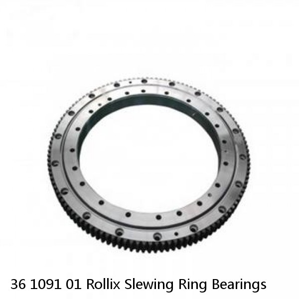 36 1091 01 Rollix Slewing Ring Bearings #1 small image