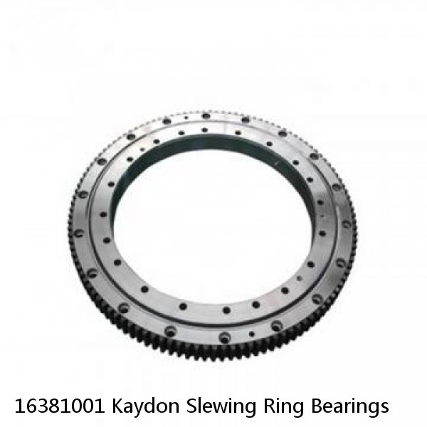 16381001 Kaydon Slewing Ring Bearings #1 small image