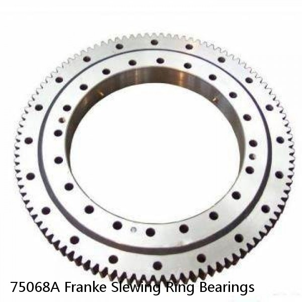 75068A Franke Slewing Ring Bearings #1 small image