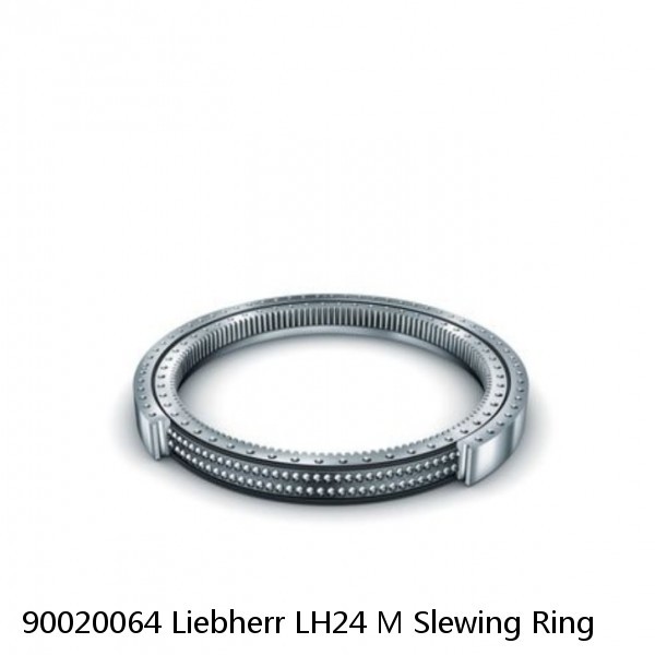 90020064 Liebherr LH24 M Slewing Ring #1 small image