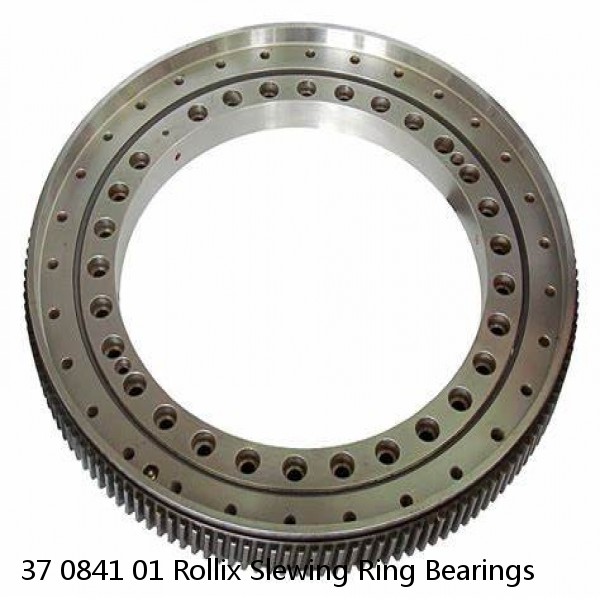 37 0841 01 Rollix Slewing Ring Bearings #1 small image