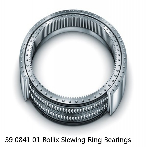 39 0841 01 Rollix Slewing Ring Bearings #1 small image