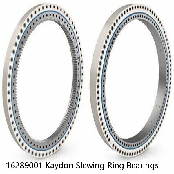 16289001 Kaydon Slewing Ring Bearings