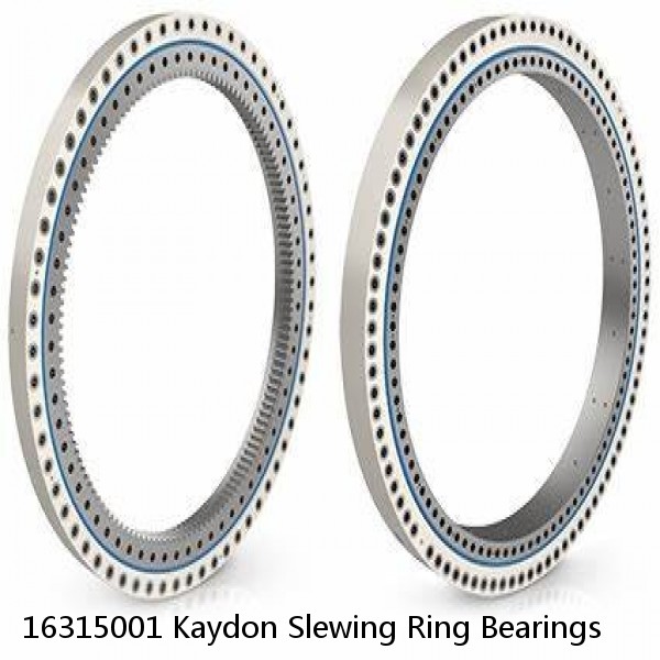 16315001 Kaydon Slewing Ring Bearings #1 small image