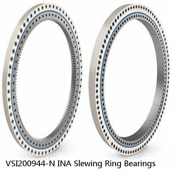 VSI200944-N INA Slewing Ring Bearings #1 small image