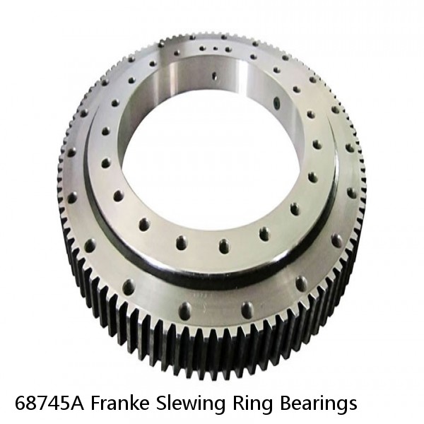 68745A Franke Slewing Ring Bearings #1 image