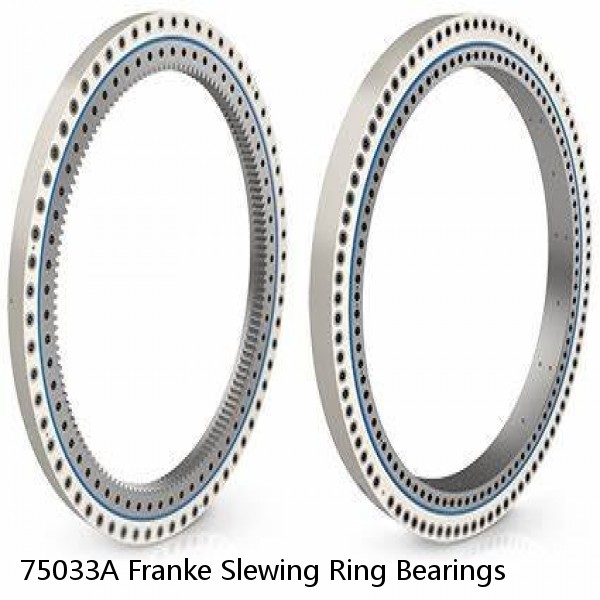 75033A Franke Slewing Ring Bearings #1 image